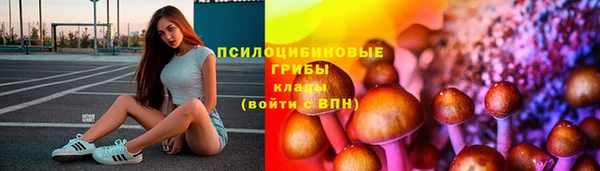 дживик Абаза