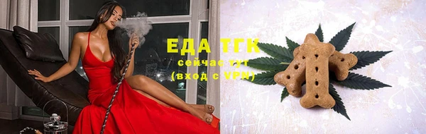 дживик Абаза