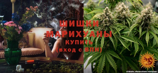 дживик Абаза