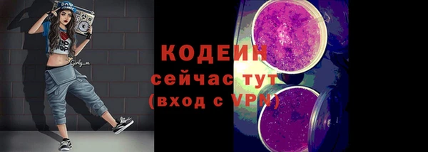 дживик Абаза