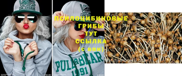 дживик Абаза