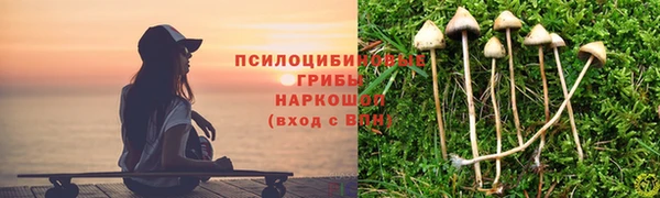 дживик Абаза
