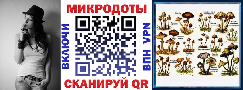 наркота  Нефтегорск  Галлюциногенные грибы Psilocybine cubensis 